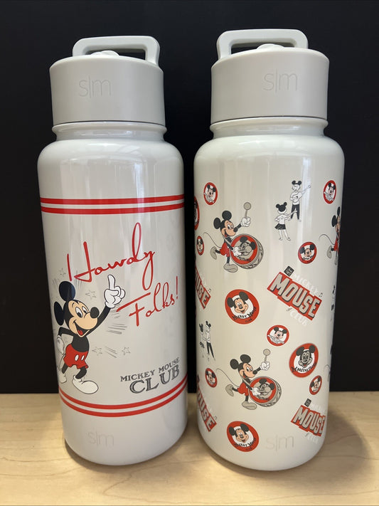 2pk MICKEY MOUSE Insulated Water Bottle W/Straw Lid Simple Modern 32 Oz GRAY